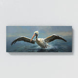Pelican Descent 20
