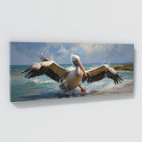 Pelican Dynamic Descent 62