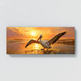 Pelican Golden Sky Flight 2