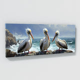Pelican Romance 14