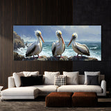 Pelican Romance 14