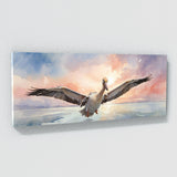 Pelican Skyward Elegance 24