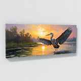 Heron Dawn Splendor 60