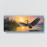 Heron Dawn Splendor 60