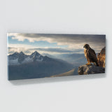 Hawk Cliffside Majesty 99