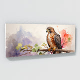 Hawk Dreamy Perch 52