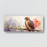 Hawk Dreamy Perch 52
