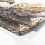 Hawk Graceful Elegance 61