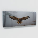 Hawk Misty Soar 107