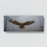 Hawk Misty Soar 107