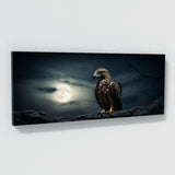 Hawk Moonlit Predator 104