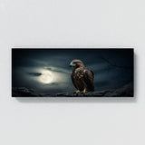 Hawk Moonlit Predator 104