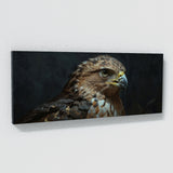 Hawk Piercing Gaze 37