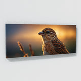 Sparrow Morning Elegance 77