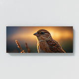 Sparrow Morning Elegance 77