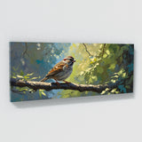 Sparrow Sunlit 55