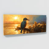 Kingfisher Golden Hour 18