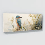 Kingfisher Graceful Perch 124