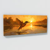 Kingfisher Shimmering Sunset 110
