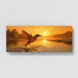 Kingfisher Shimmering Sunset 110