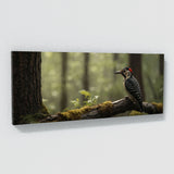 Woodpecker Forests Whispering 65