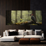 Woodpecker Forests Whispering 65