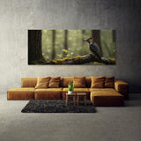 Woodpecker Forests Whispering 65
