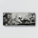 Woodpecker Shaded Rhythm 97