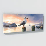 Seagull Dawns Harbor Serenity 136