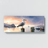 Seagull Dawns Harbor Serenity 136