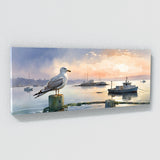 Seagull Dawns Harbor Serenity 137