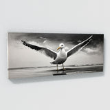 Seagull Elegant Monochrome 194