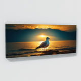 Seagull Golden Gull Silhouette 72