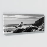 Seagull Moody Coastal Shadows 68