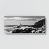Seagull Moody Coastal Shadows 68