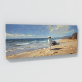 Seagull Seaside Solitude 14