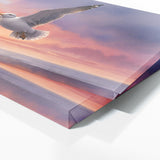 Seagull Serene Sunset Glide 139