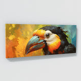Toucan Gaze 115
