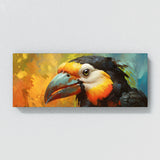 Toucan Gaze 115