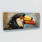 Toucan Gaze 51