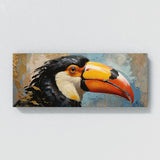 Toucan Gaze 51