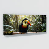Toucan Grand Exit 235