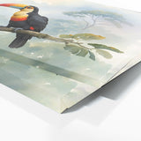 Toucan Misty Canopy View 153