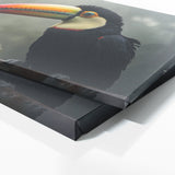 Toucan Mystic Dawn 227