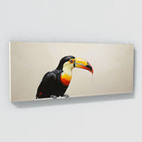 Toucan Simplicity 255