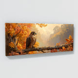 Falcon Autumn Watch 107