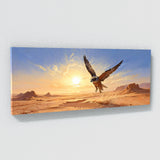 Falcon Desert Sunset 13