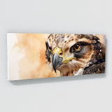 Falcon Fiery Gaze 36