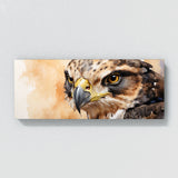Falcon Fiery Gaze 36