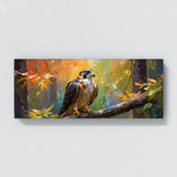 Falcon Forest Light Dance 154